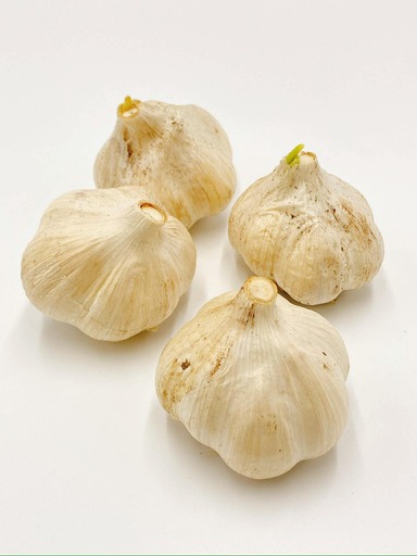 飛騨産 にんにく 300g ニンニク[7月中旬から12月発送]水村農園