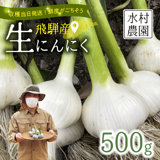 生ニンニク 500g 飛騨 ニンニク 水村農園 