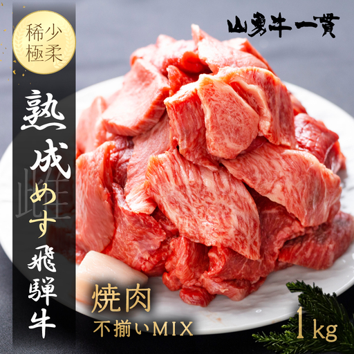 熟成飛騨牛『山勇牛』焼肉 切り落とし 1kg 切落し BBQ バーベキュー 不揃い 訳あり 訳アリ わけあり ミックス 希少部位入り A4・A5ランク 飛騨牛