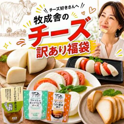訳ありチーズ福袋 牧成舎 福袋 [Q3241]