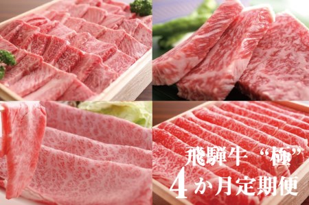 飛騨牛"極" 4か月 定期便 焼肉・しゃぶしゃぶ・ステーキ・すき焼き 堪能コース 飛騨牛 肉 和牛[Q107]