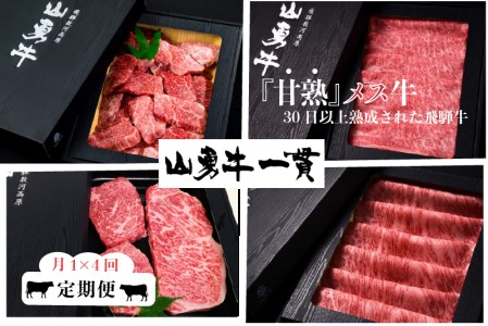 [11月受付終了返礼品]飛騨牛 山勇牛 定期便 4回4か月 焼肉 ステーキ すき焼き しゃぶしゃぶ サーロイン 赤身ステーキ など[Q124]