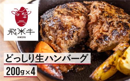 [簡易包装]うまい赤身にこだわった 牛飼いの和牛肉 ハンバーグ 200g×4個 飛米牛 生ハンバーグ 和牛100%[Q2450]