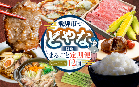 [定期便]どやな飛騨市 まるごと 定期便 毎月 お届け 12回 [Q3015_C]