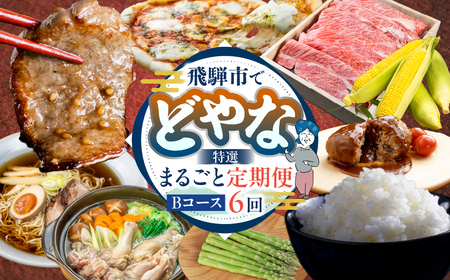 [定期便]どやな飛騨市 まるごと定期便 お届け 6回 定期便 偶数月 [Q3015_B]
