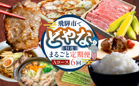 [定期便] どやな飛騨市 まるごと定期便 Aコース [Q3015_A]