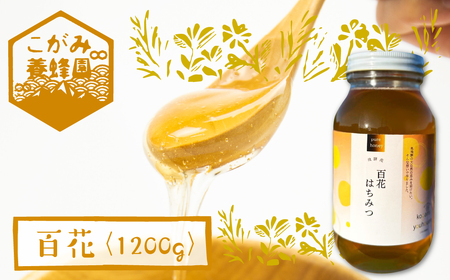 飛騨産 生蜂蜜 百花蜜 1200g 国産無添加 百花 はちみつ ギフト ハニー 非加熱[Q1196x]