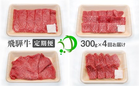 [定期便]飛騨牛 4回お届け 4ヶ月 焼肉 すき焼き しゃぶしゃぶ ミニステーキ 300g 5等級[Q602]