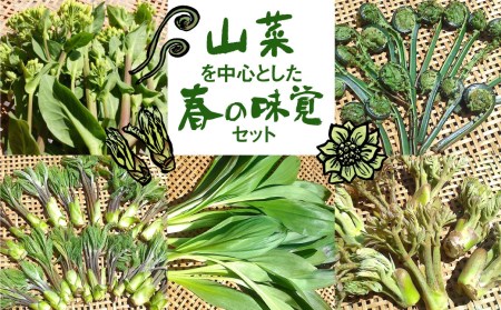 [期間・数量限定]山菜を中心とした春の味覚セット[Q631] syun11春野菜 山菜 行者ニンニク 菜の花