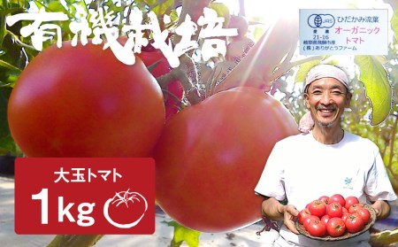 《期間・数量限定》ひだかみ流葉　コクと旨味の有機大玉トマト 有機JAS認定 合計1kg[Q633]