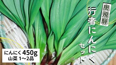 奥飛騨産 とれたて新鮮 生行者ニンニク 450g 行者ニンニク 行者にんにく 醤油漬け[Q654rewx]