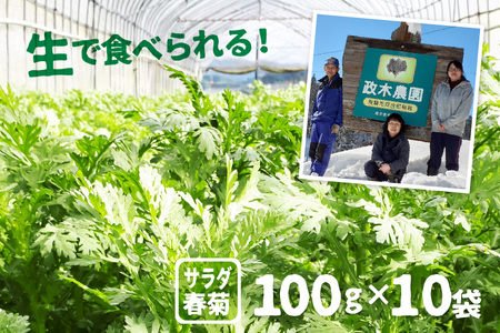 [期間限定]サラダ春菊 100g × 10袋 計1000g 政木農園 無農薬栽培 [Q657rewx]