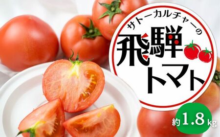 [先行予約]令和7年産 飛騨トマト 約1.8kg 産地直送 野菜 とまと トマト 麗月 夏野菜 やさい サトーカルチャー [Q2478_u]