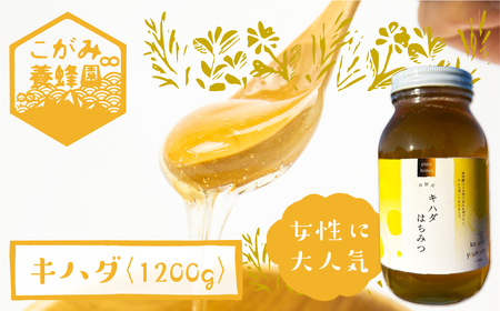 キハダ 蜂蜜 1200g はちみつ ハチミツ 国産 非加熱 きはだ [Q1204x]
