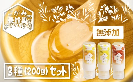 飛騨産 生蜂蜜 詰め合わせ セット 200g×3種類 ギフト 国産無添加 キハダ トチ 百花 はちみつ ハニー 非加熱[Q1205]