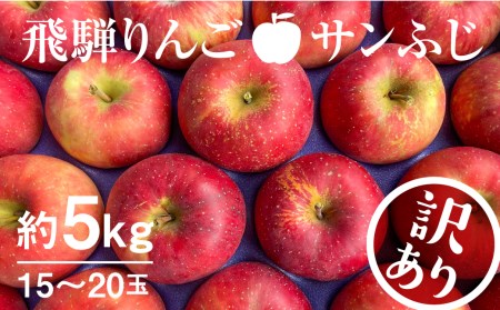 [11月下旬〜1月上旬発送][訳あり]りんご サンふじ 約5kg 15〜20玉 飛騨りんご 林檎 黒内果樹園 果物 国産 飛騨産 ご家庭用 家庭用 無袋栽培[Q843]