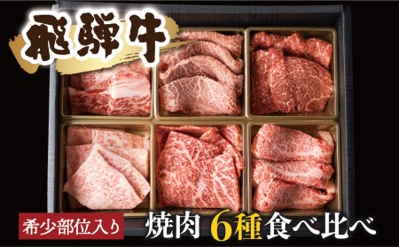 焼肉 6種食べ比べ 希少部位 各100g 計600g 牛肉 肉 部位おまかせ 赤身 霜降り和牛 ギフト 贈り物 飛騨市