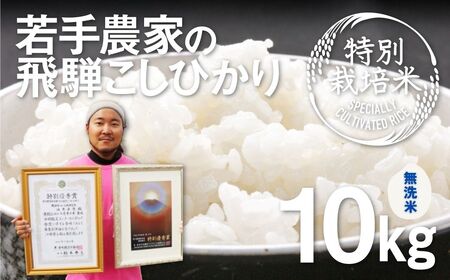 [先行予約]令和6年産[無洗米]特別栽培米 こしひかり 10kg 食味コンクール受賞農家こだわりのお米 池本農園 新米 [Q1838_24m]