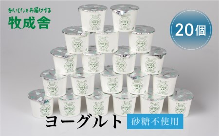 飛騨産ミルクと乳酸菌だけのプレーンヨーグルト20個 砂糖不使用 牧成舎[Q1266w]