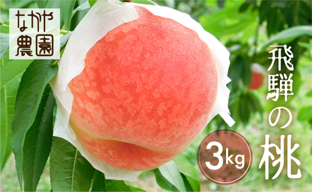 飛騨の桃 3kg / 桃 もも モモ 桃 [Q2064x_26]
