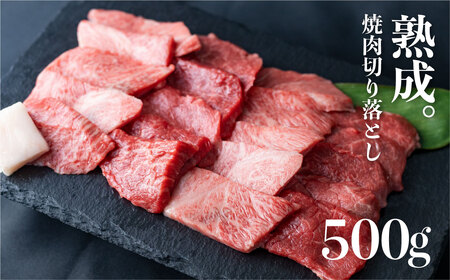 「山勇牛」焼肉用ミックス500g 牛肉 和牛 飛騨牛 肉[D0025]