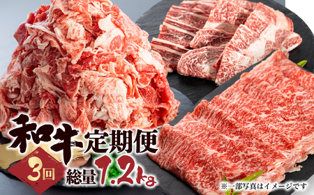 「和牛定期便」定期便 3回 お楽しみ 牛肉 切落し 切り落とし ホルモン もつ 焼肉 BBQ 個包装 国産和牛 総重量1.2kg[Q1541x]