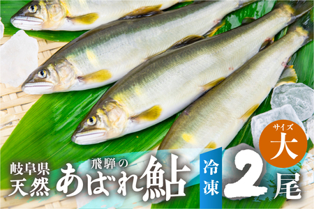 [先行予約]2025年産 飛騨 天然鮎 大サイズ 2尾 天然 アユ 鮎 岐阜県 室田名人 宮川下流 飛騨のあばれ鮎 高級料亭御用達 急速冷凍 冷凍 あゆ 魚 天然 川魚 10000円 1万円 [Q2178_25]