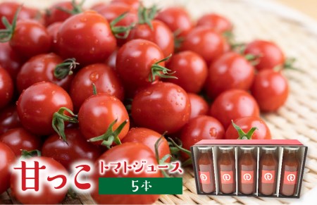 岐阜県飛騨市 トマトの返礼品 検索結果 | ふるさと納税サイト「ふるなび」