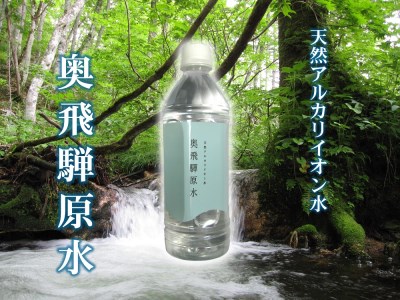 奥飛騨原水500ml×24本 天然水 高原の天然水 湧水 採水 飛騨の天然水 天然水ペットボトル [B0124]