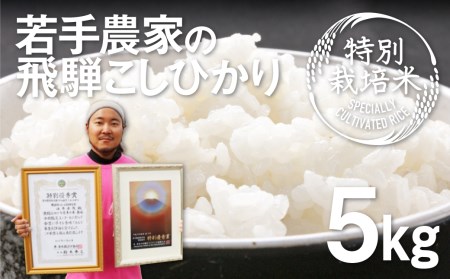 [先行予約]令和6年産 こしひかり 5kg 特別栽培米 食味コンクール受賞農家の特別栽培米コシヒカリ 池本農園 [Q1837_24xc]