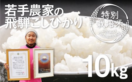 [先行予約]令和5年産 新米 特別栽培米 こしひかり 10kg 食味コンクール受賞農家こだわりのお米 池本農園 新米 [Q1838]