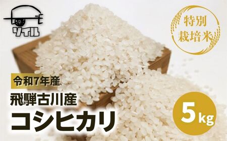 [2025年先行予約]令和7年産 新米 飛騨古川産 特別栽培米 こしひかり 5kg 特A [Q1858_25]