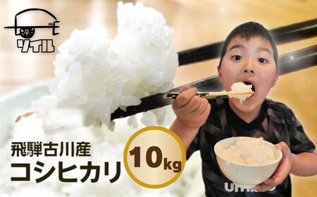 【2025年先行予約】令和7年産 新米 飛騨古川産 特別栽培米 こしひかり 10kg 特A コシヒカリ 新米 お米 米 精米 ごはん ご飯 特A 米不足 2024 飛騨市 ソイル [Q1859_25pi2]