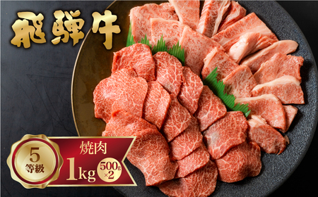 飛騨牛 霜降り(ロース・カタロース)/赤身(モモ・カタ) 焼肉 計1kg 500g×2 バーベキュー BBQ やきにく A5 5等級 肉 牛肉 和牛 国産 食べ比べ 冷凍 [Q1978x]