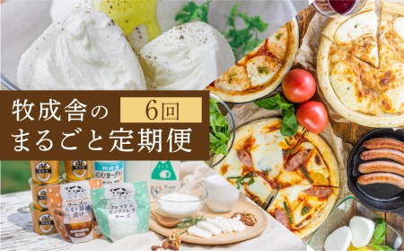 乳製品 定期便 6回[牧成舎]牛乳 ヨーグルト チーズ ピザ ソーセージ 牧成舎の商品をまるごと楽しむ 定期便 お楽しみ [Q1942]