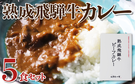 熟成飛騨牛カレー レトルト 詰め合わせ 5食セット 国産和牛カレー 観光地応援 熨斗対応 レトルトカレー 保存食 常備食 ビーフカレー [Q2014]