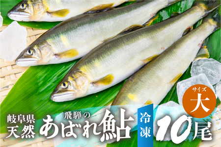 2025年産 飛騨 天然鮎 大サイズ 10尾 天然 アユ 鮎 岐阜県 室田名人 宮川下流 飛騨のあばれ鮎 高級料亭御用達 急速冷凍 冷凍 あゆ 魚 天然 川魚 50000円 5万円[Q2180_25]