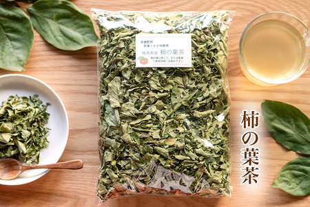 柿の葉茶|岐阜県産 自家製健康茶 若葉100% 有機肥料 おすすめ 大袋 [1339]