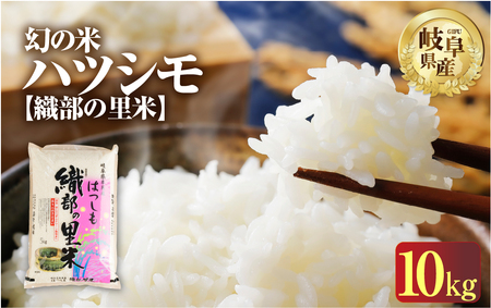 令和6年産 新米 先行受付[織部の里米(R)]精米ハツシモ10kg ( 5kg×2袋 ) 岐阜県本巣市産 お米 もとすファーム