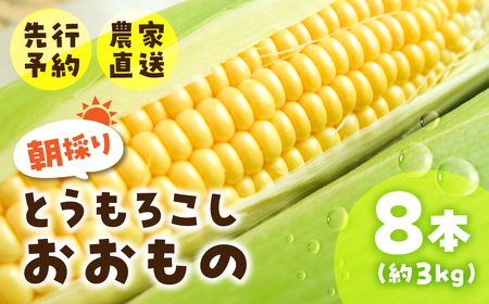 [先行予約]2025年5月〜以降発送 とうもろこし 8本 約3kg おおもの オオモノ トウモロコシ 黄色 農園 産地直送 野菜 BBQ バーベキュー 簡易梱包 岐阜県産 本巣市 朝採れ 新鮮 やさい 数量限定 冷蔵 わくわくファーム 令和7年産