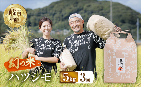 [ 3回 定期便 ] 令和6年産 ハツシモ 5kg × 3回 3か月 米 こめ ごはん 白米 岐阜県産 本巣市 お米 精米 甘い 和食 寿司 アグリフレンドホリグチ