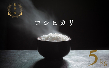 [ 令和6年産 ] 根尾産 コシヒカリ 5kg 有機肥料 米 こめ ごはん 白米 こしひかり 岐阜県産 本巣市 お米 精米 おにぎり 弁当 寿司 プレミア 希少 高級 おいしい 数量限定 アグリフレンド