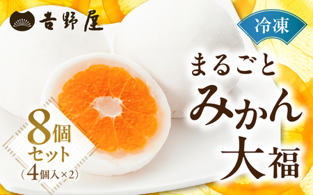 みかん 大福 4個 ×2 セット まるごと 和菓子 お菓子 菓子 おやつ カフェ スイーツ ご当地 お取り寄せ おみあげ お土産 冷凍 フルーツ 岐阜県 本巣 プレゼント ギフト 日時指定 可 [mt501]