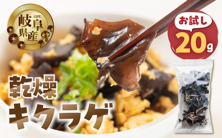 �y�������z���� �L�N���Q �� 20g ���[���� �T�C�Y ���� �s���� ���܂��� �ȈՍ��� �󂠂� ��A�� ���� ��� �͔|���Ԓ� �_��s�g�p �򕌌��Y �{���s ���Y ���̂� �L�m�R �����炰 �Y�n���� �V