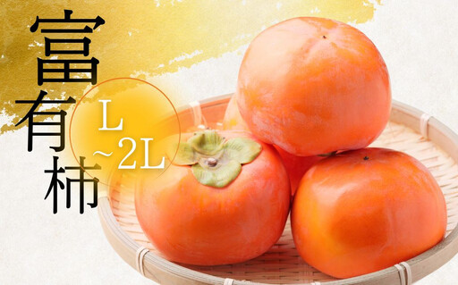 [先行予約] 令和8年産 [訳あり]富有柿 L〜2L サイズ 約5kg 加藤果樹園 [mt1692] |家庭用 ご自宅用 わけあり ワケアリ かき 富有柿 ふゆうがき フルーツ カキ 果物 くだもの 岐阜県 本巣市