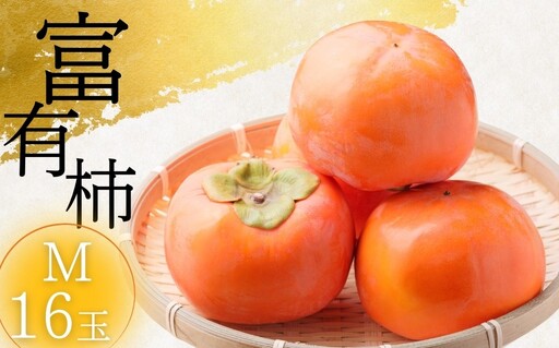 [先行予約]令和8年産[柿の王様]加藤果樹園の富有柿 Mサイズ16個入り 11月下旬〜12月上旬発送予定 [mt2061] |かき 富有柿 ふゆうがき フルーツ カキ 果物 くだもの 産地直送 岐阜県 本巣市