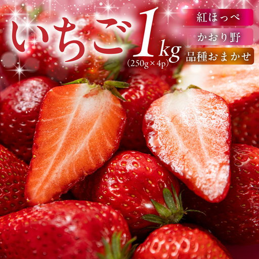 [先行予約][2027年1月〜発送]令和9年産 品種おまかせ いちご 紅ほっぺ かおり野 1kg (250g × 4p) サイズ 不揃い 農園直送 生食 ケーキ [mt2205]