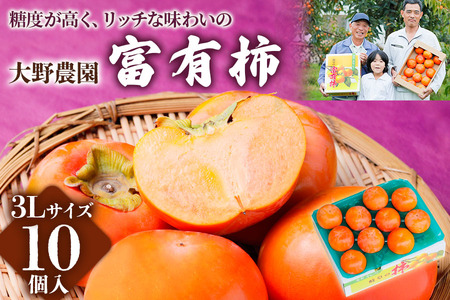 岐阜富有柿の返礼品 検索結果 | ふるさと納税サイト「ふるなび」
