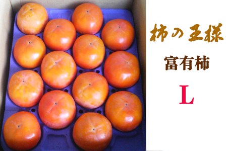 [先行予約]《柿の王様》 加藤果樹園 の富有柿Lサイズ14個入り 11月中旬～12月上旬発送予定 [1039]