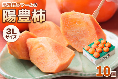 [��s�\��] �ߘa8�N�Y �z�L�` 3L�T�C�Y 10����s2026�N11����{��蔭���\��t�@���� �z�L �t���[�c �J�L �ʕ� �������� �Y�n���� �����`�t�@�[�� �򕌌� �{���s 13000�~ [mt469_26]